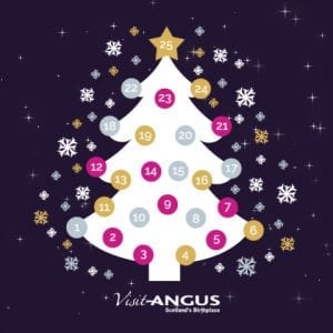 Visit Angus Advent