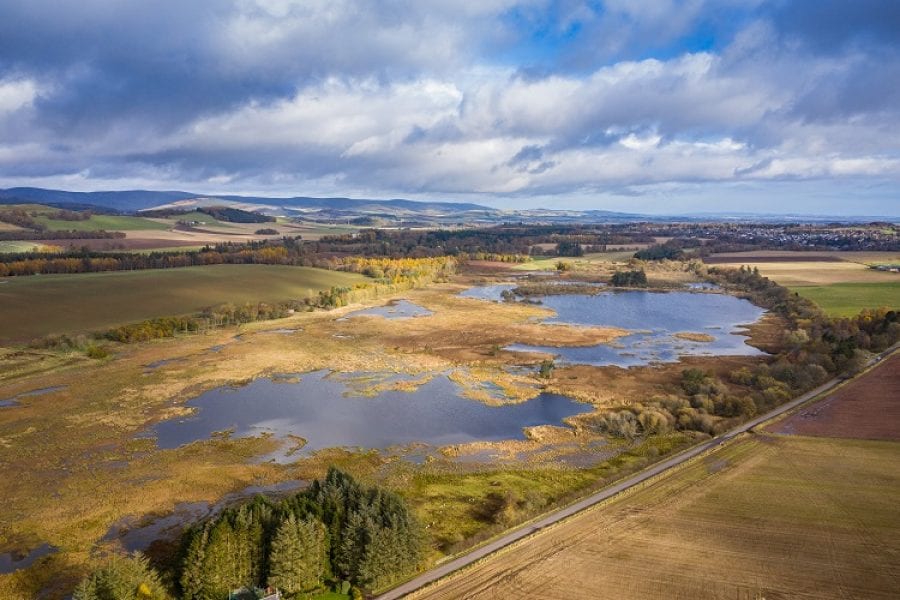 Loch Of Kinnordy Near Kirriemuir Visit Angus