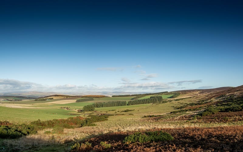 Valley of Strathmore, Angus