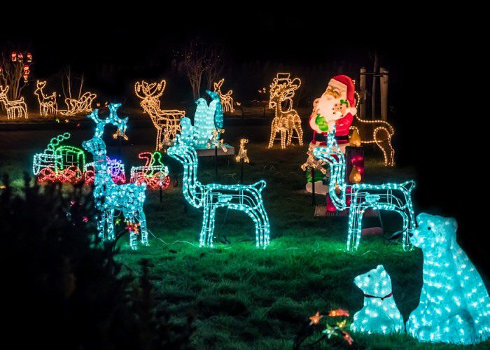 Festive Fun at Monikie Country Park Visit Angus