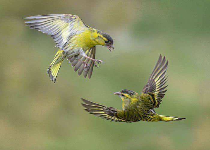 Brechin Photographic Society Exhibition