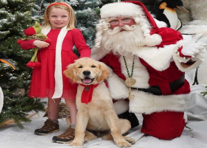 Santa Paws at Dobbies