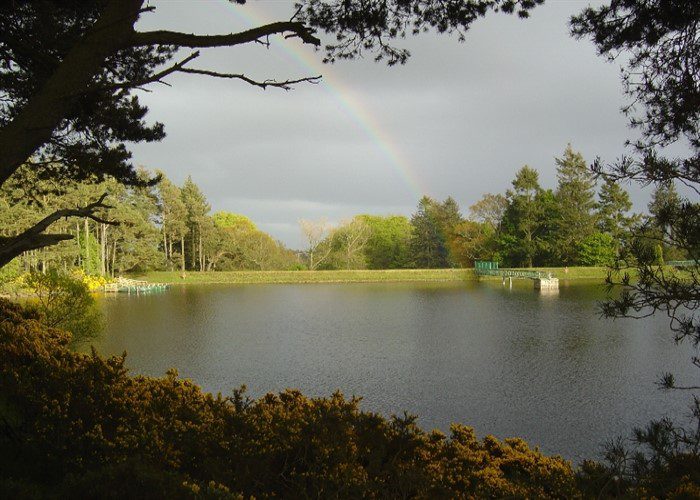 Crombie Country Park