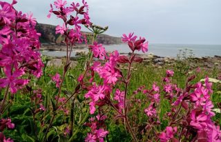 Angus Coastal Tours