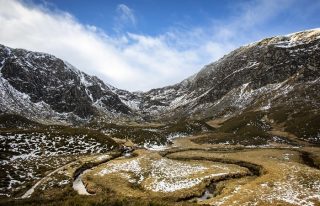 Corrie Fee