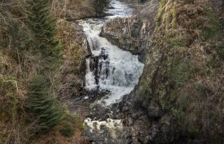 Reekie Linn