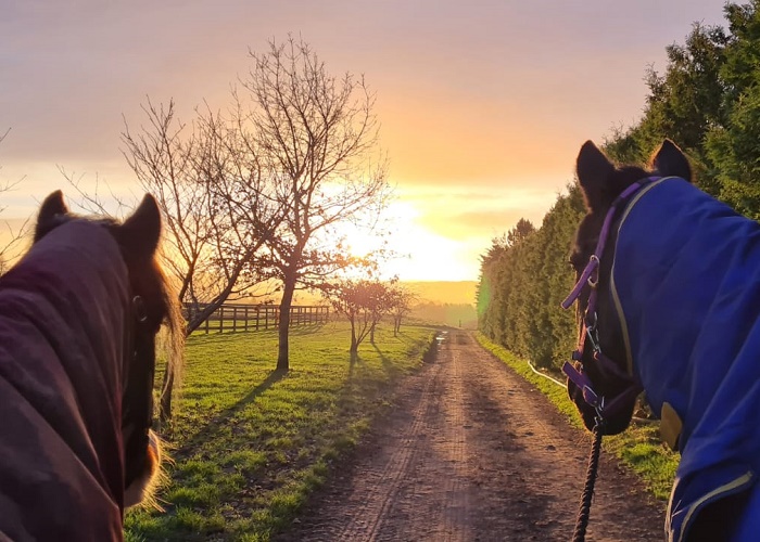 Pathhead Equestrian Centre